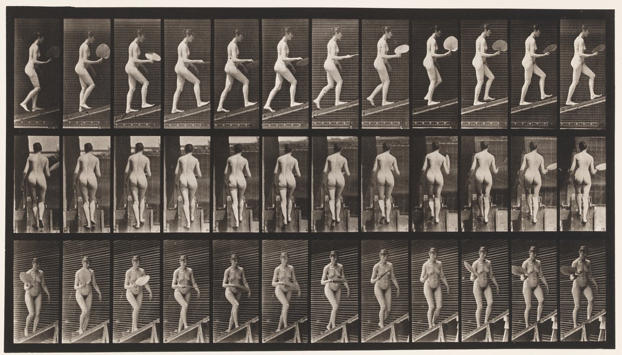 Levy 78. Nouseva kaltevuus, flirttaileva tuuletin, 1872-1885 tekijältä Eadweard Muybridge