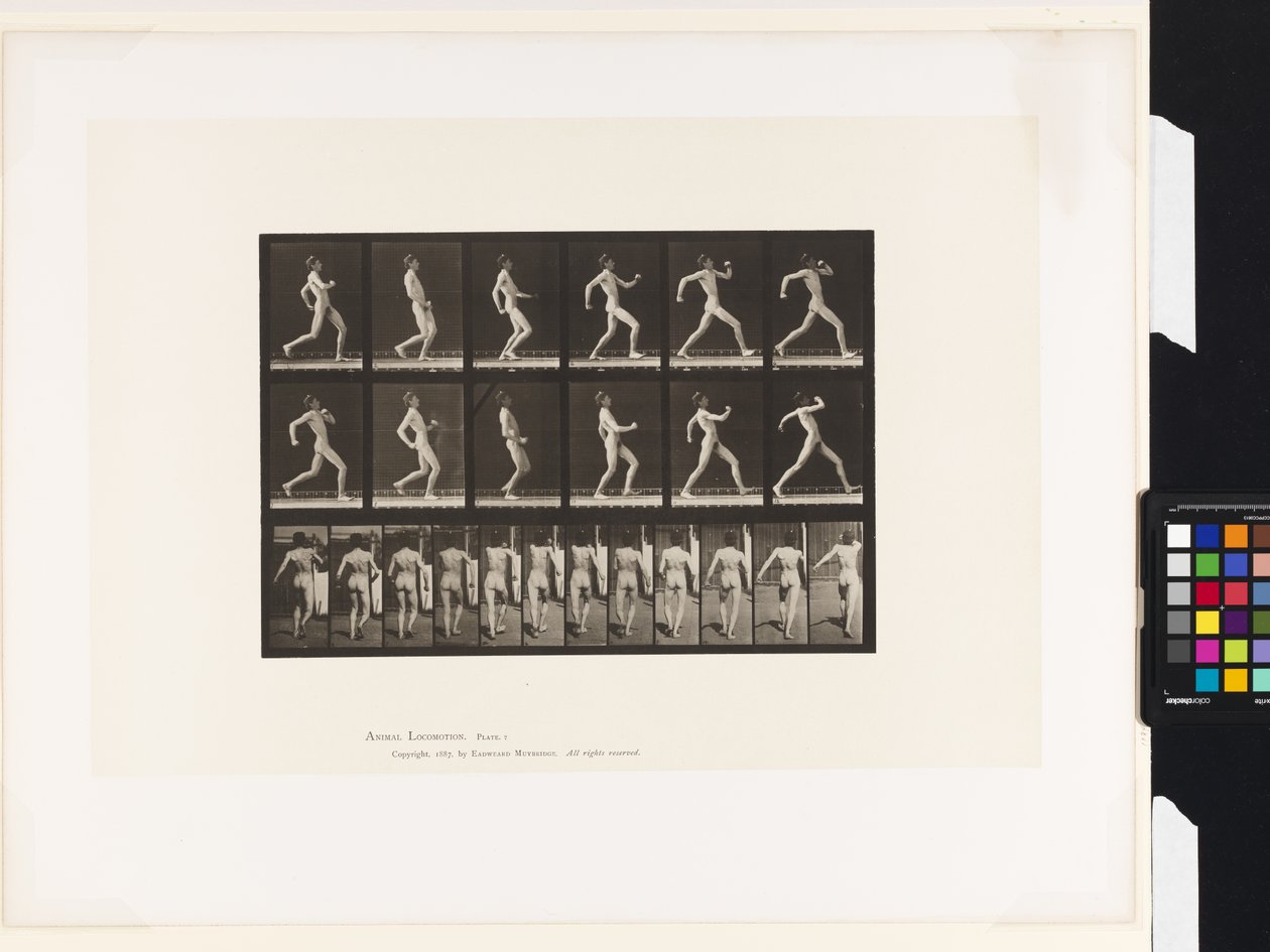 Lauta 7. Kävely tekijältä Eadweard Muybridge
