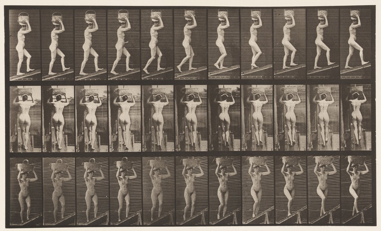 Levy 80. Nouseva kaltevuus tekijältä Eadweard Muybridge