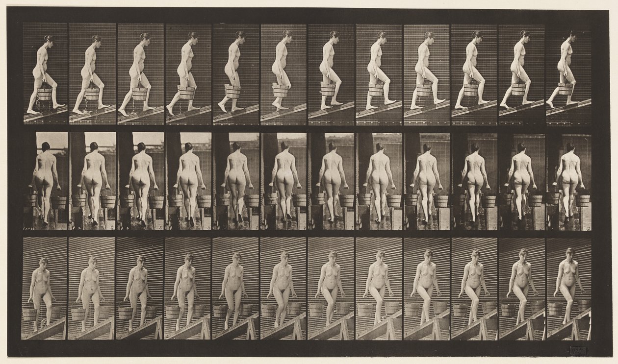 Levy 81. Nouseva kaltevuus. tekijältä Eadweard Muybridge