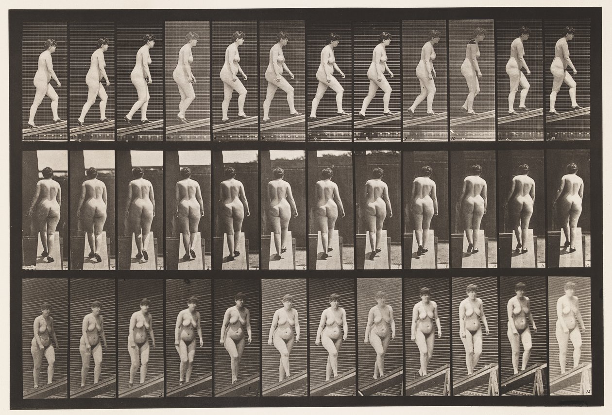 Levy 86. Nouseva kaltevuus tekijältä Eadweard Muybridge