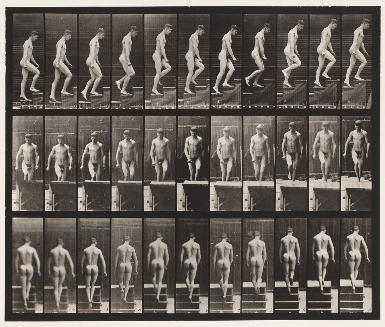 Levy 88. Nousevat portaat, 1872-1885 tekijältä Eadweard Muybridge