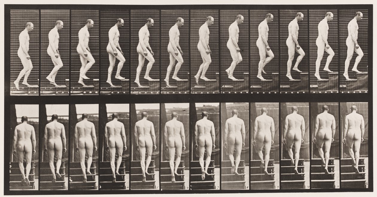Levy 89. Nousevat portaat tekijältä Eadweard Muybridge