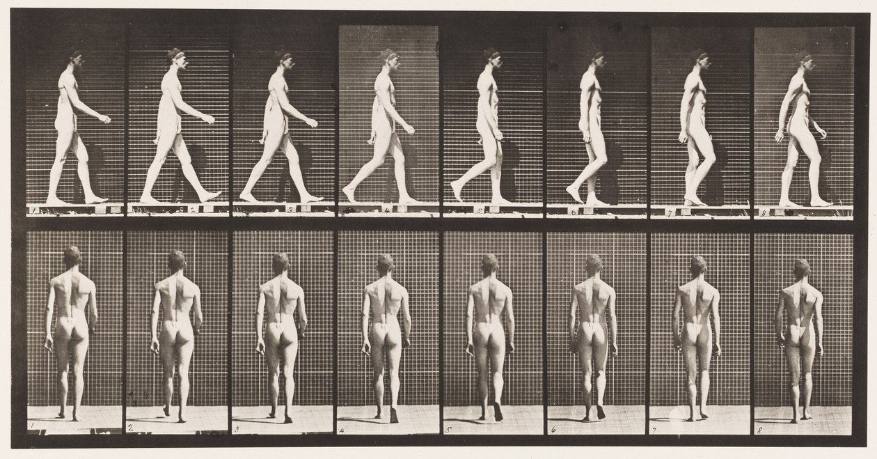 Lauta 8. Kävely tekijältä Eadweard Muybridge