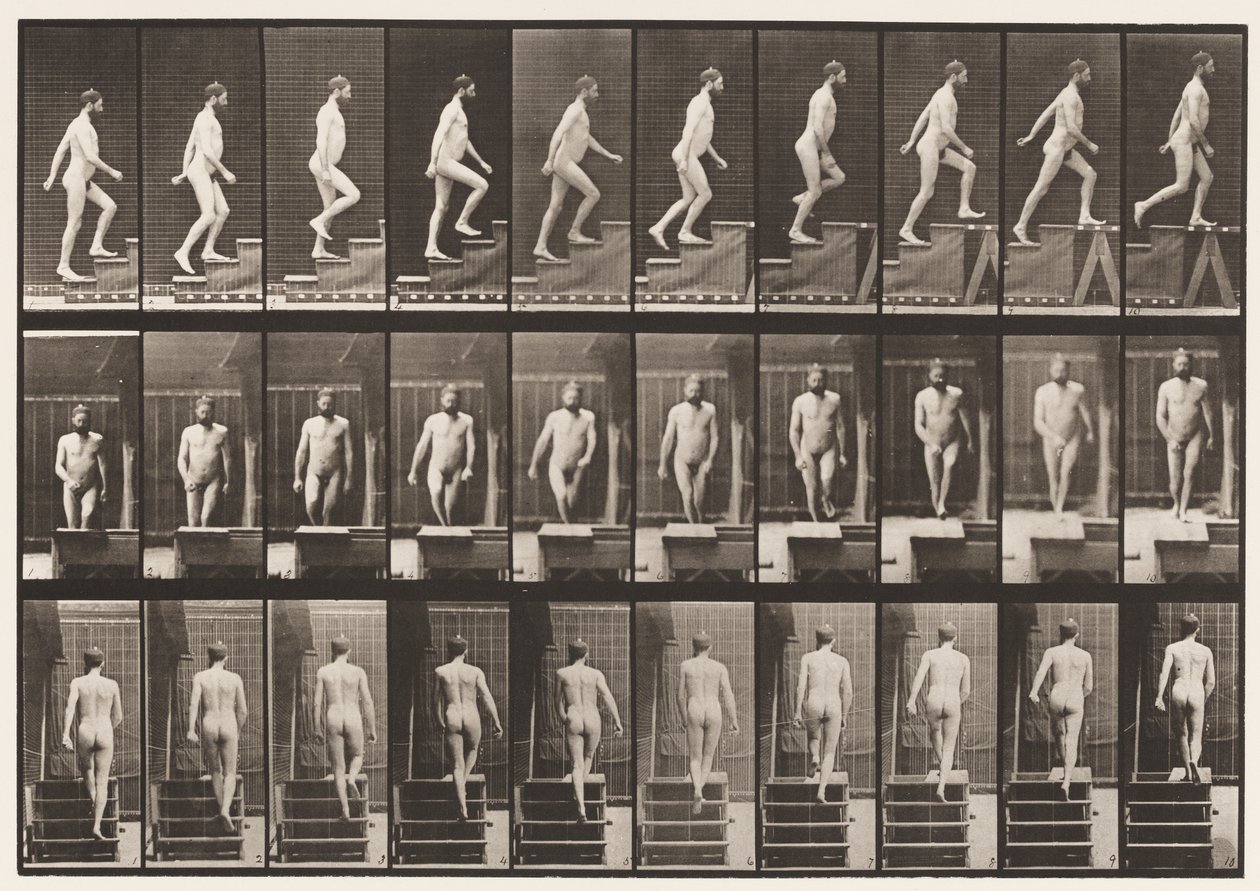 Levy 90. Nousevat portaat tekijältä Eadweard Muybridge