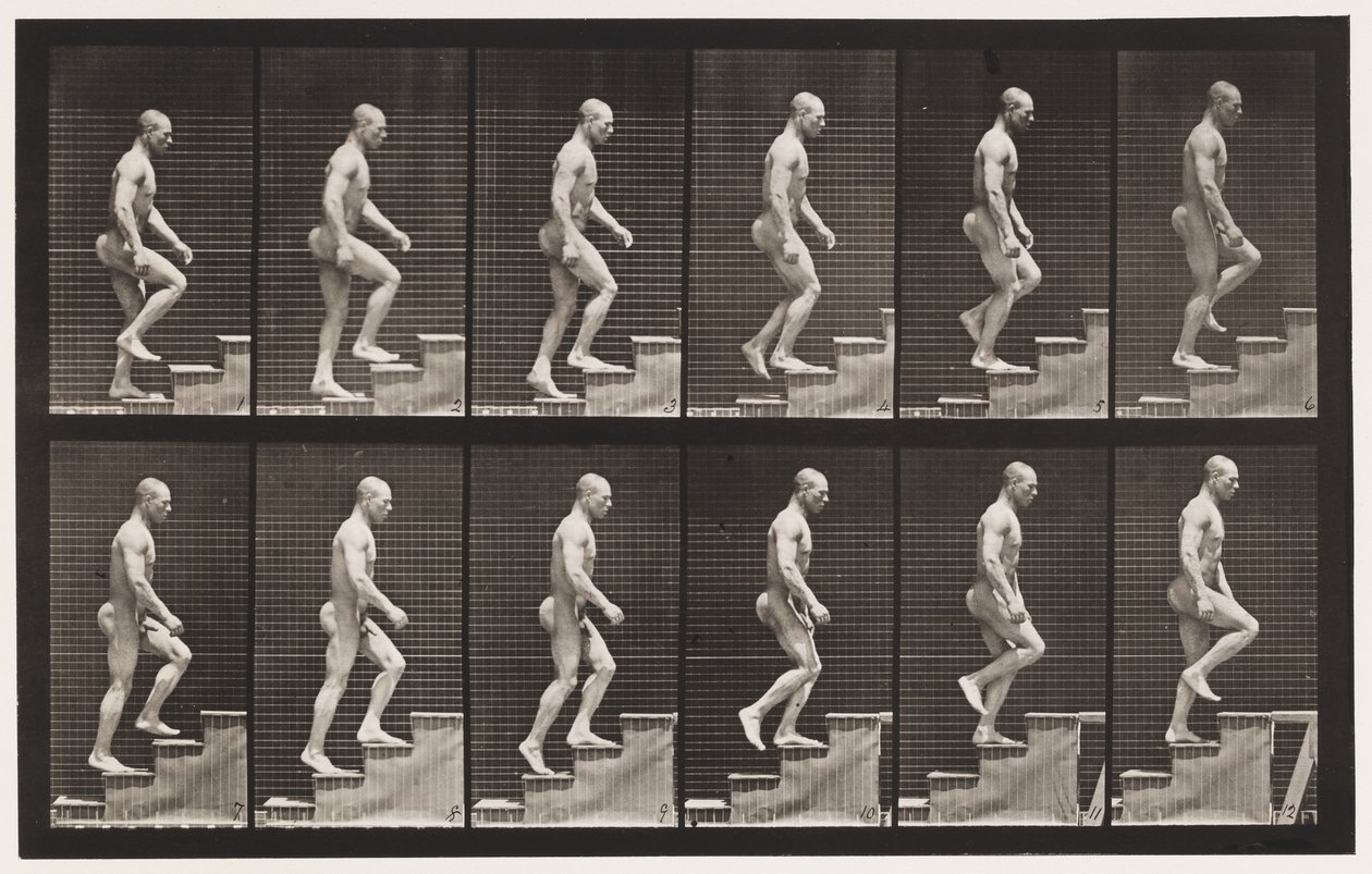 Levy 91. Nousevat portaat tekijältä Eadweard Muybridge