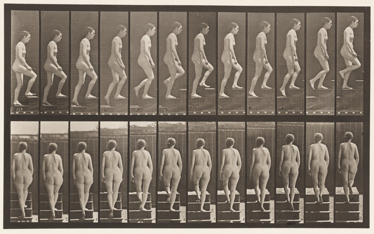 Levy 92. Nousevat portaat tekijältä Eadweard Muybridge