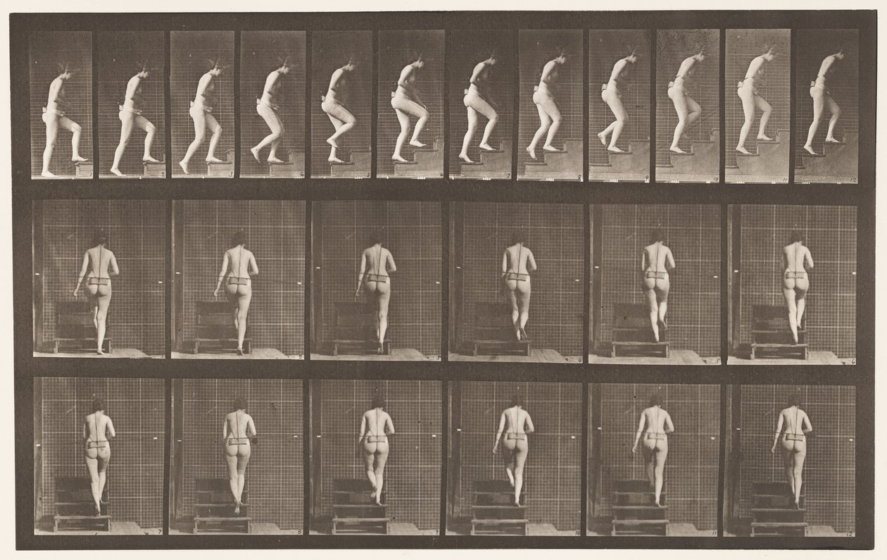 Levy 93. Nousevat portaat tekijältä Eadweard Muybridge