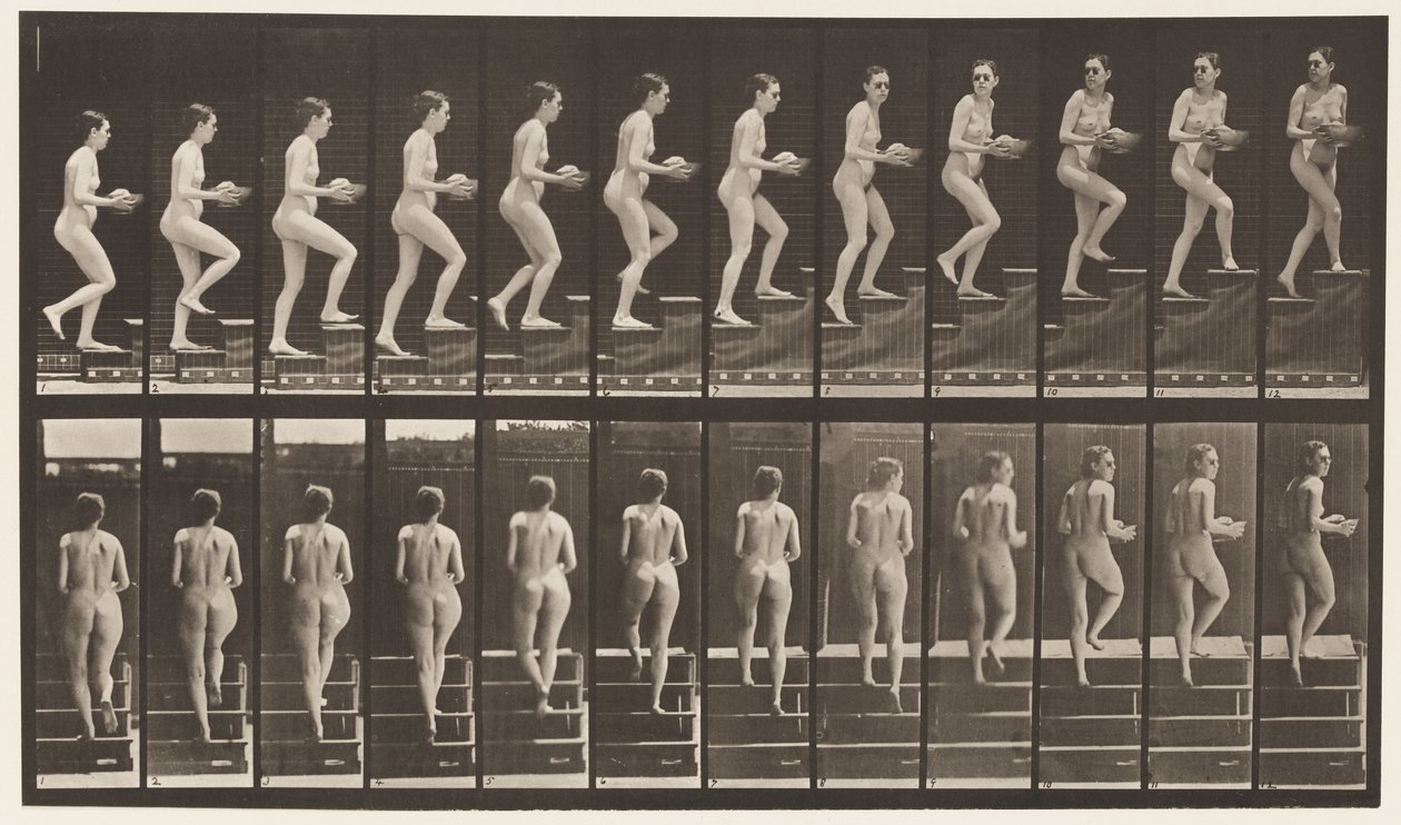 Levy 94. Nousevat portaat ympärilleen katsomassa; Altaan käsissä tekijältä Eadweard Muybridge