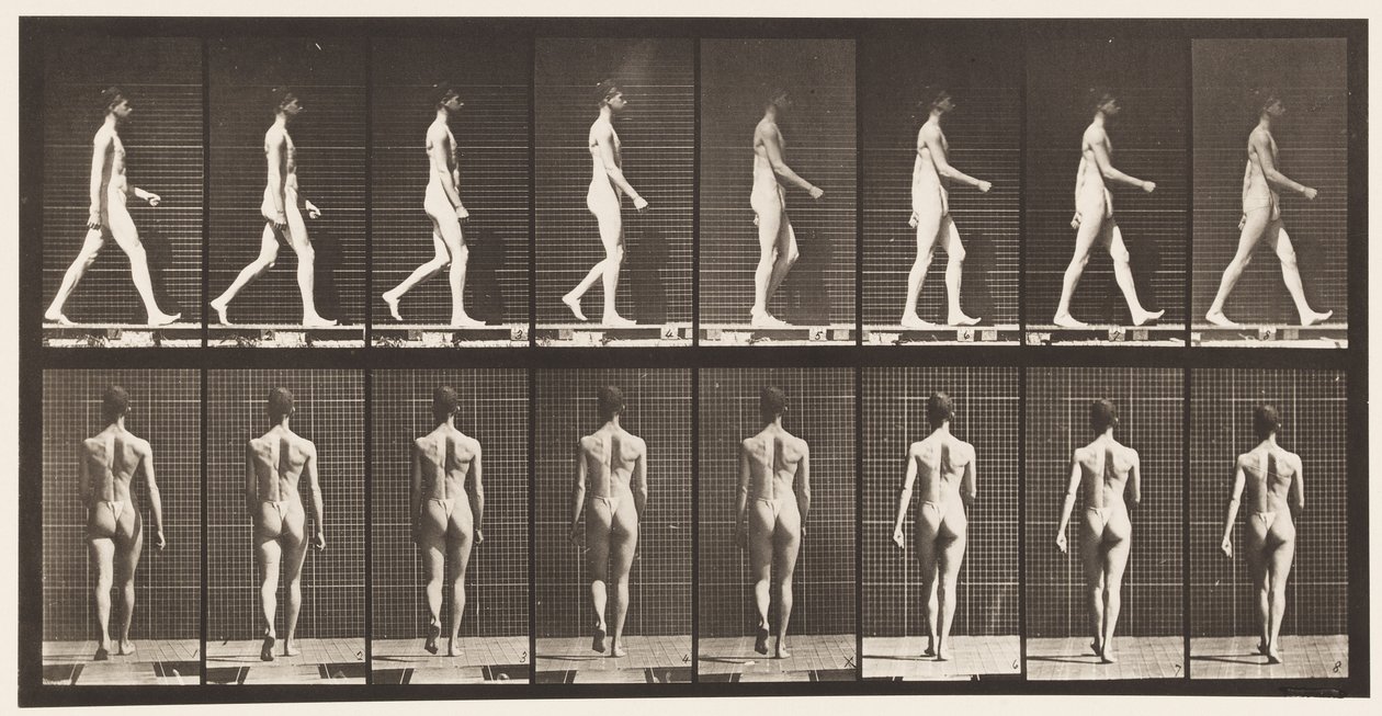 Levy 9. Kävely, 1872-1885 tekijältä Eadweard Muybridge