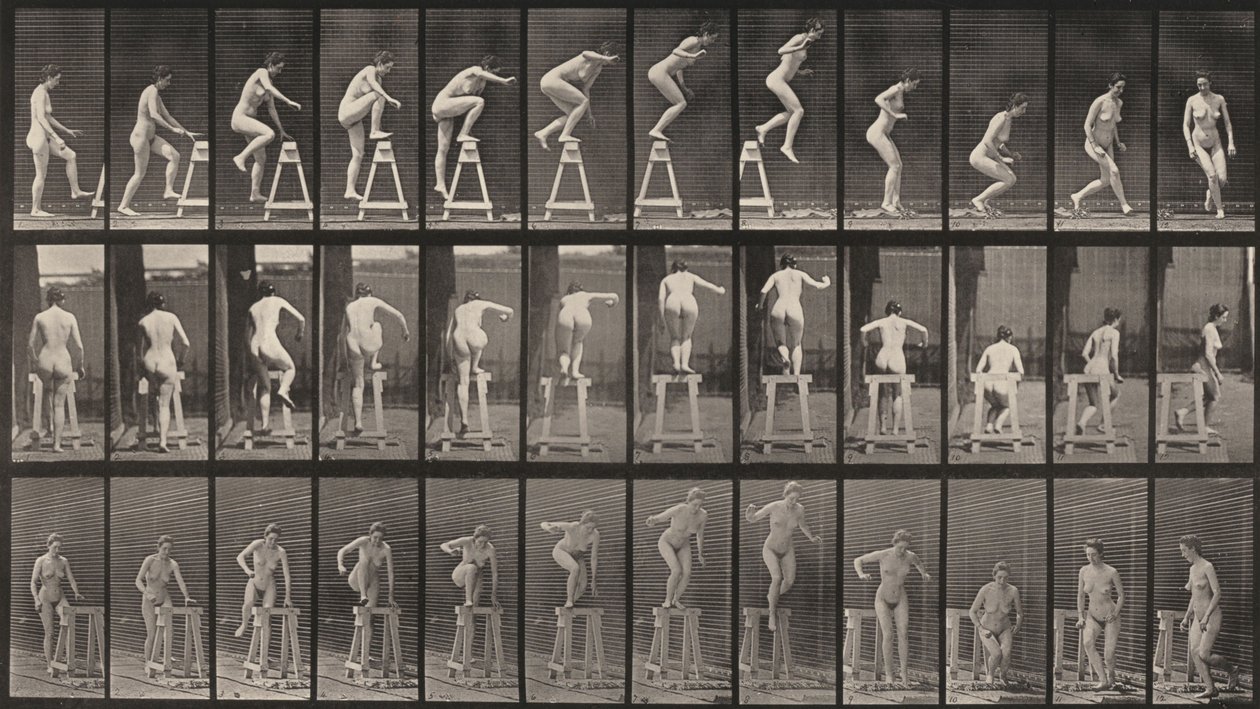 Kuvalaatta numero 171. Astuminen pukille, hyppääminen alas ja kääntyminen tekijältä Eadweard Muybridge