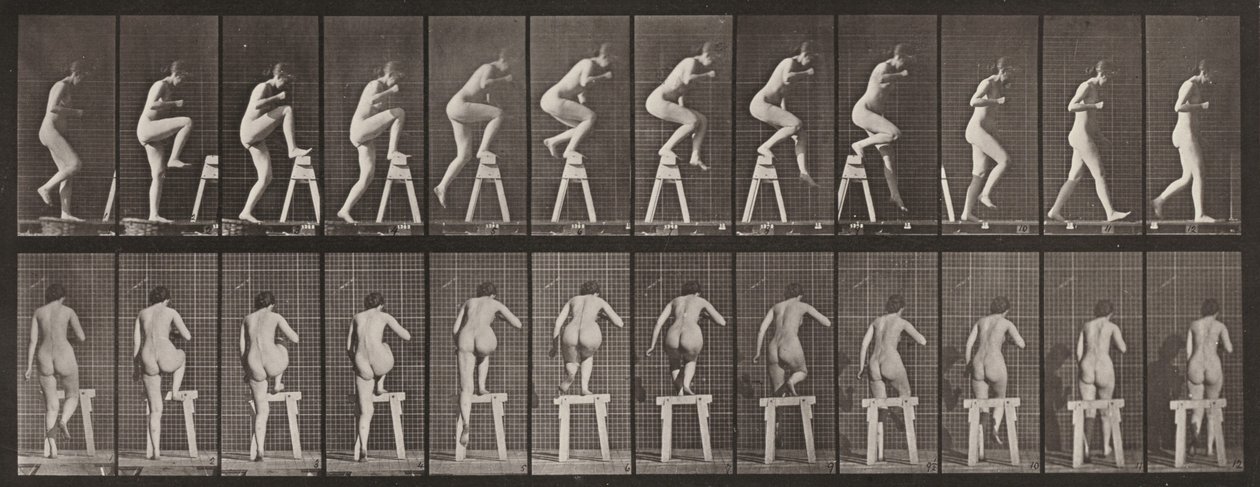 Taulu numero 178. Astuminen pukille ja sen yli tekijältä Eadweard Muybridge