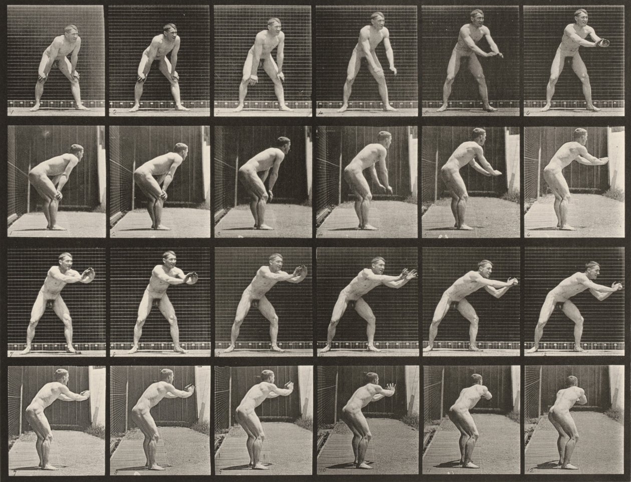 Laatta numero 280. Baseball, kiinniotto tekijältä Eadweard Muybridge