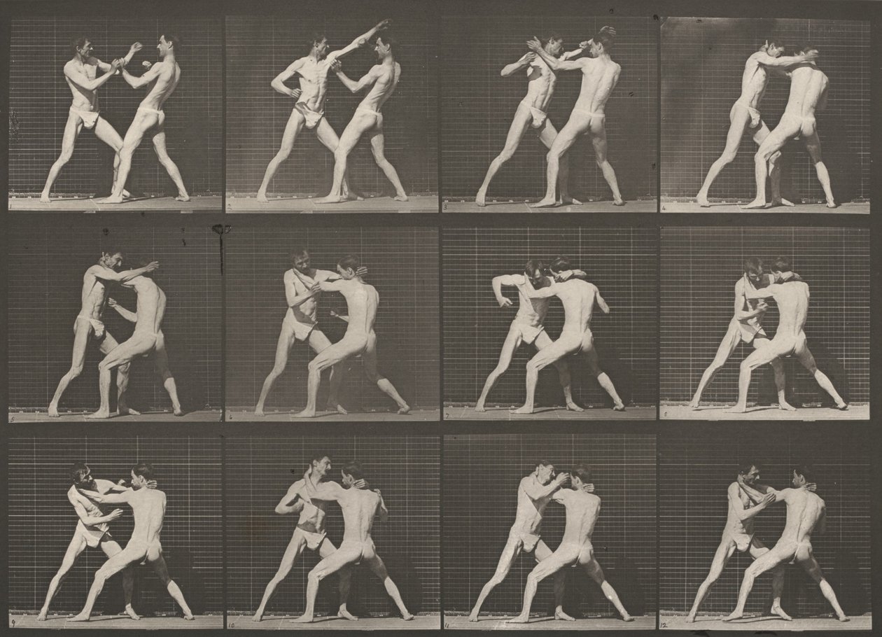 Taulu numero 340. Nyrkkeily, avoin käsi tekijältä Eadweard Muybridge