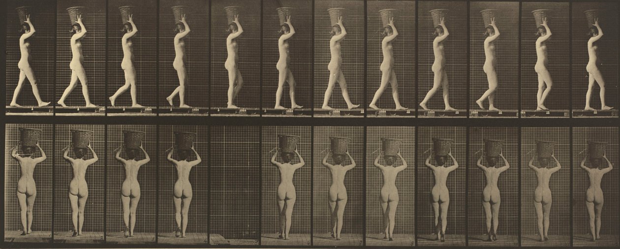 Kilpi numero 34. Kävelee ja kantaa 15 kilon koria päässään, kädet kohotettuna,1887 (kuva). tekijältä Eadweard Muybridge