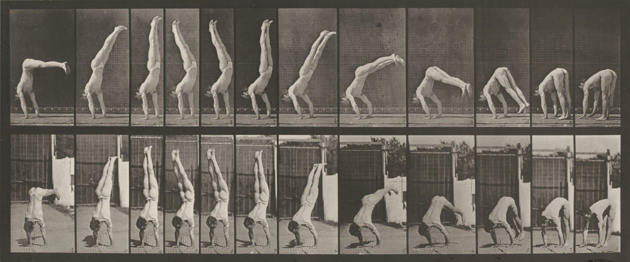 Kilpi numero 371. Acrobat, pystysuora "press up",1887 (kuva) tekijältä Eadweard Muybridge