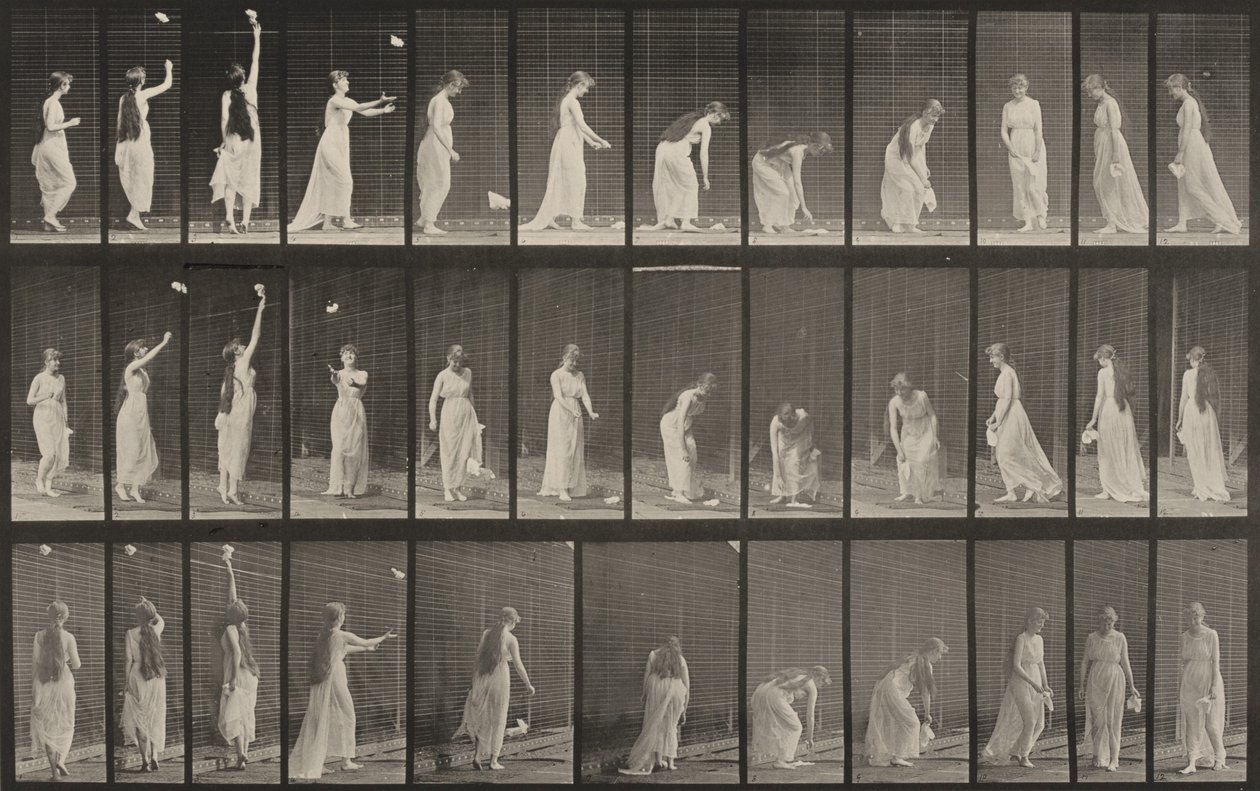 Kuvalevy numero 463. Kurkottaminen, kumartuminen ja ympäri kääntyminen tekijältä Eadweard Muybridge