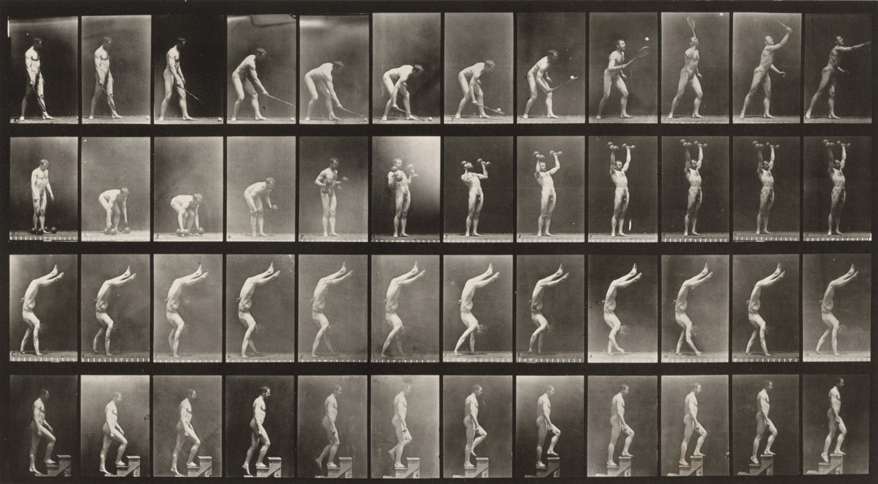 Taulu numero 488. A: Nurmikkotennis. B: Käsipainot. C: Käsillä kävely. D: Portaiden nouseminen tekijältä Eadweard Muybridge