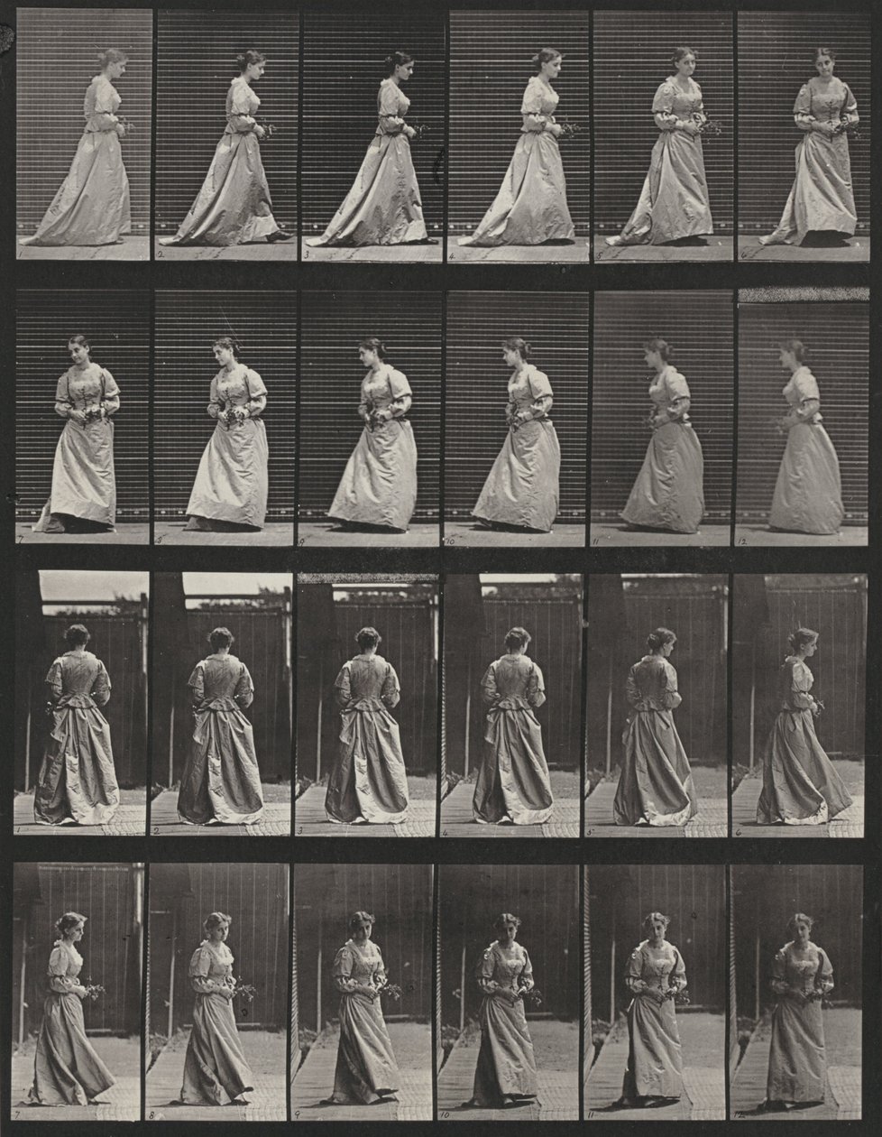 Taulu numero 48. Kävely ja kääntyminen kukkakimppu molemmissa käsissä tekijältä Eadweard Muybridge