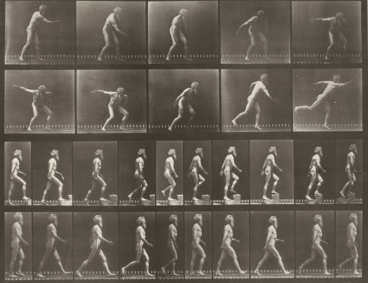 Kuvalaatta numero 519. A: Kiekon heittäminen. B: Portaalle nouseminen. C: Käveleminen tekijältä Eadweard Muybridge