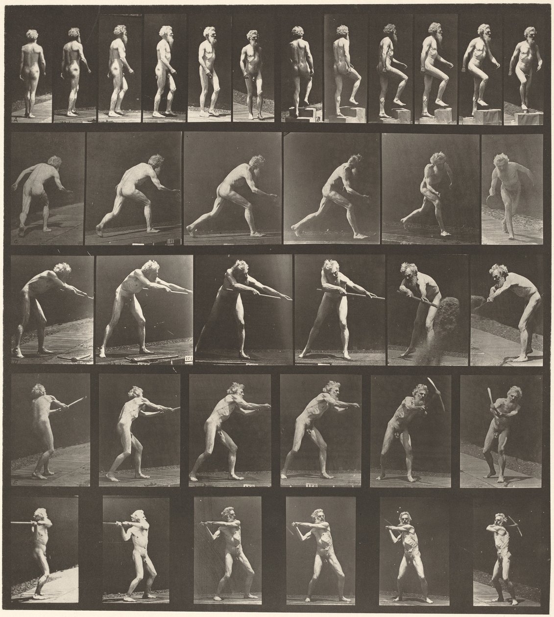 Kilpi numero 521. A: Kävellen. B: Nouseva askelma. C. Levyn heitto. D: Lapion käyttö. E, F. Hakun käyttö, 1887 (kuva). tekijältä Eadweard Muybridge