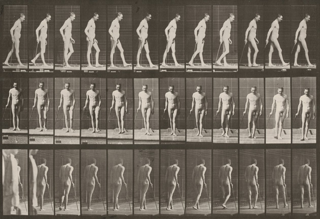 Taulu numero 559. Osittainen alaraajahalvaus, kävely kepin avulla tekijältä Eadweard Muybridge