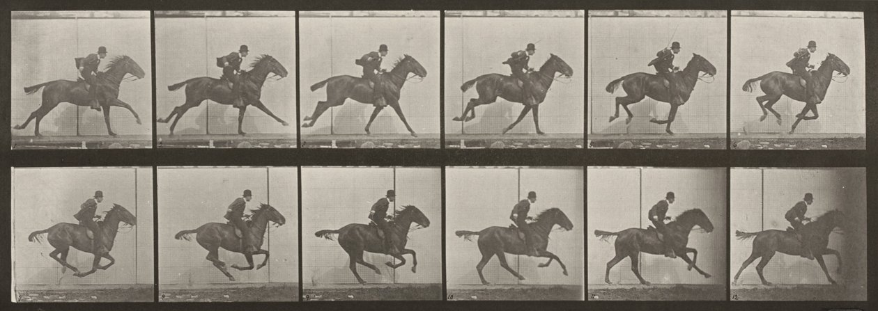 Kuvalevy numero 624. "Daisy" laukkaa satuloituna tekijältä Eadweard Muybridge