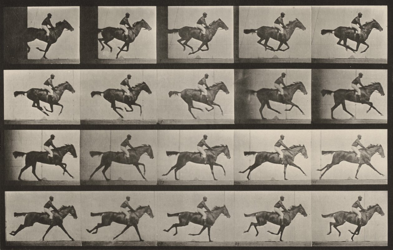 Taulu numero 627. "Annie G." laukkaamassa tekijältä Eadweard Muybridge