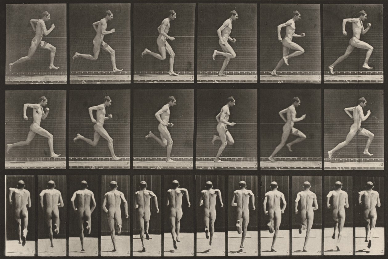 Kuvalevy numero 62. Juoksu täydellä nopeudella tekijältä Eadweard Muybridge