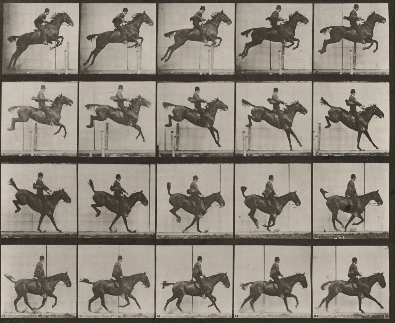 Taulu numero 637. Satuloitu "Daisy" hyppää esteen yli, ylittää sen, laskeutuu ja palautuu tasapainoon tekijältä Eadweard Muybridge