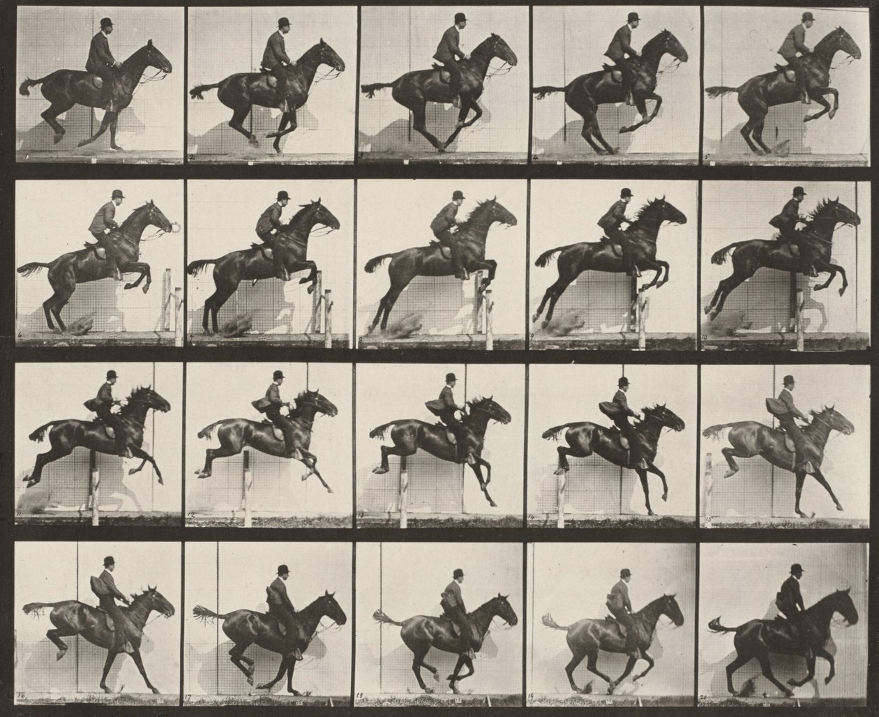 Lehti numero 640. Satuloitu "Daisy" hyppää esteen yli tekijältä Eadweard Muybridge