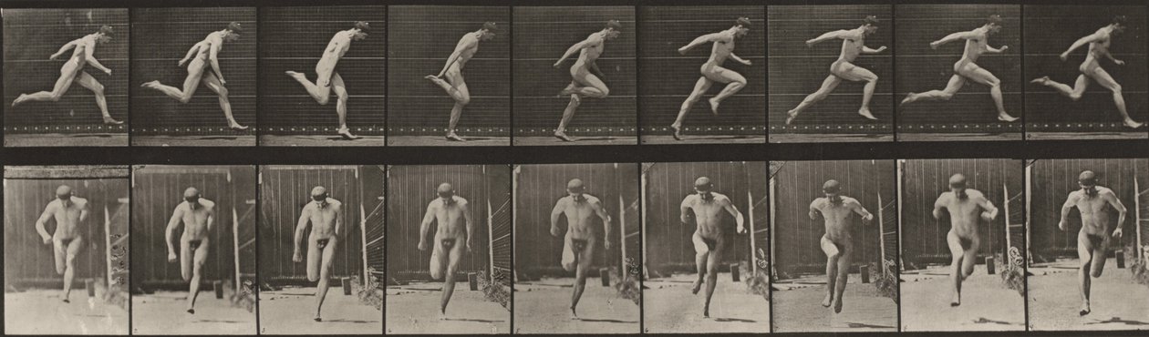 Taulu numero 68. Juoksu tekijältä Eadweard Muybridge