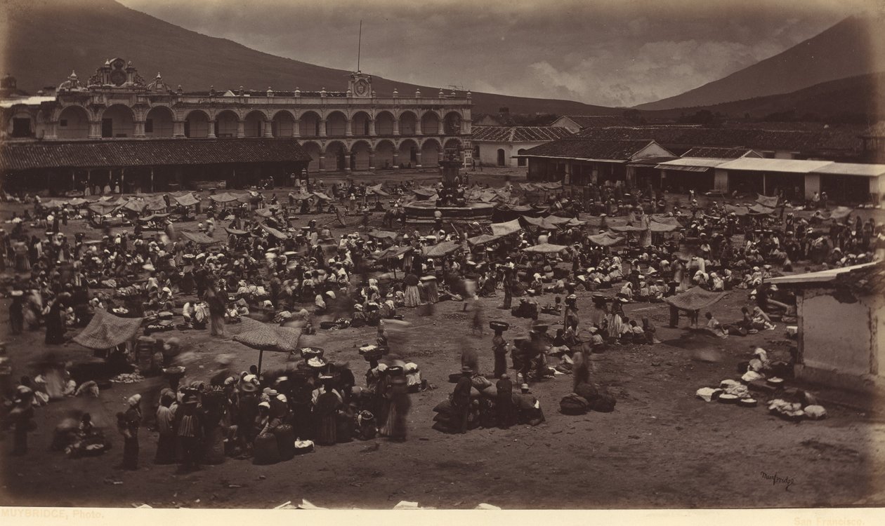 Plaza ja Viceroy