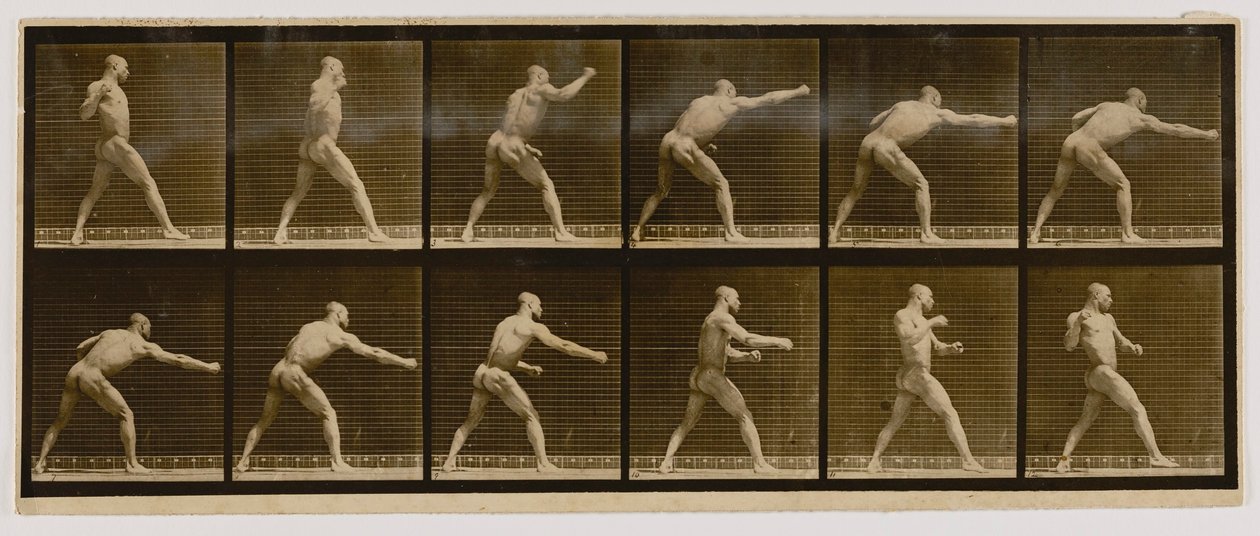 Pugilist Striking a Blow, kirjasta Animal Locomotion (Eläinten liikkuminen). tekijältä Eadweard Muybridge