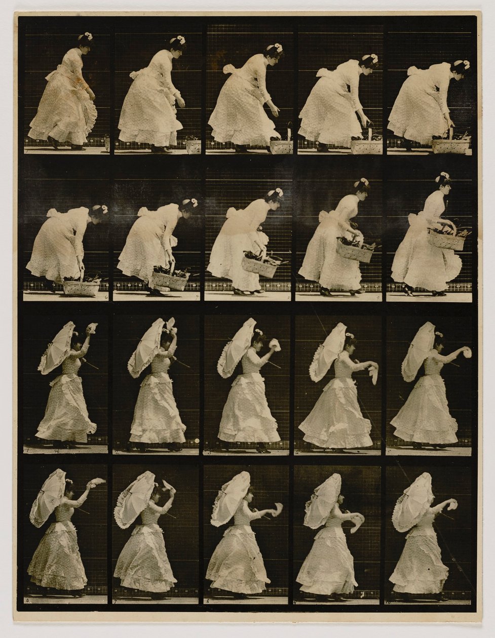 Nainen nostaa koria, heiluttaa nenäliinaa, kirjasta Animal Locomotion (Eläinten liikkuminen). tekijältä Eadweard Muybridge