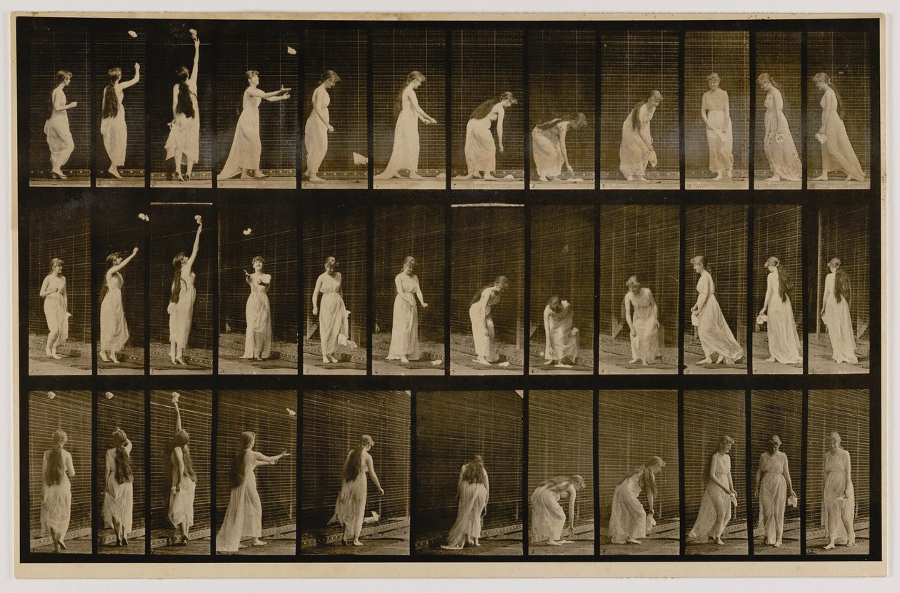 Nainen heittää nenäliinan ilmaan ja nostaa sen ylös, kirjasta Animal Locomotion (Eläinten liikkuminen). tekijältä Eadweard Muybridge