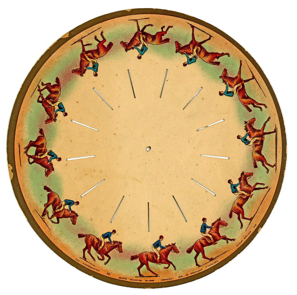 zoopraxiskooppikiekko, jossa hevonen ratsastaa, 1893 tekijältä Eadweard Muybridge