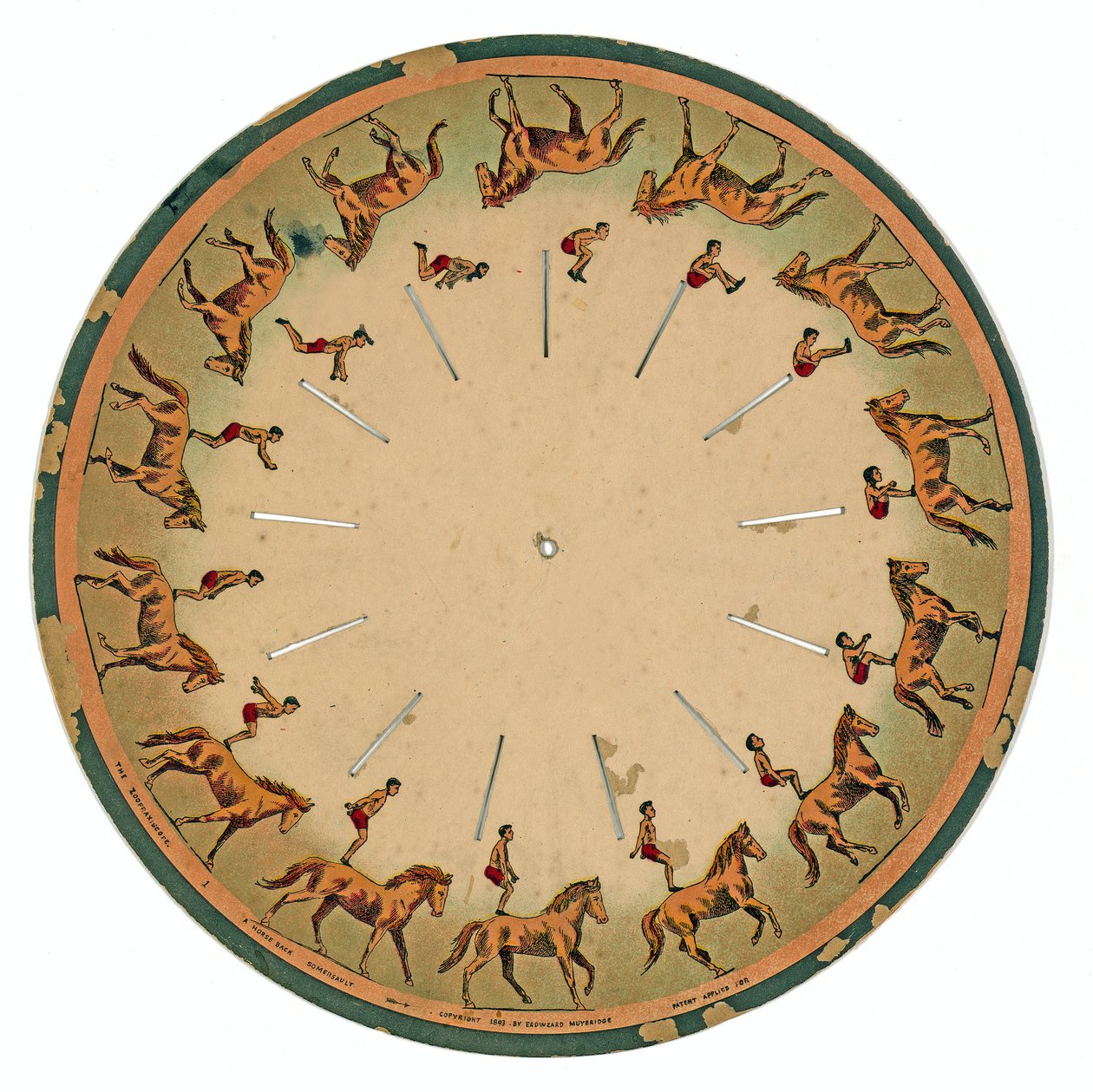 zoopraxiscope-levy, jossa akrobaatti tekee hevosen selkään voltin , 1893 tekijältä Eadweard Muybridge