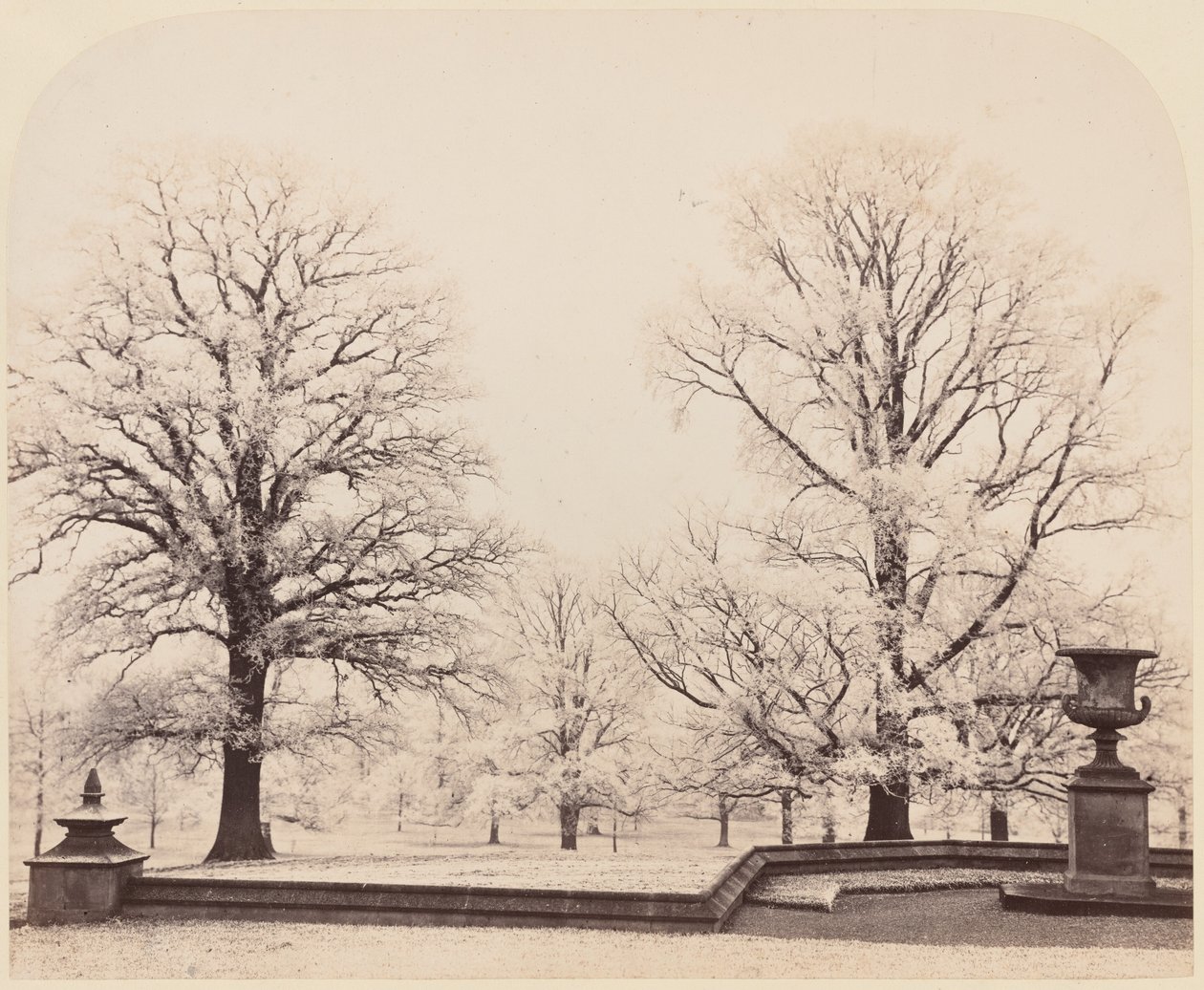Huurre, puistokohtaus,1862 (kuva) tekijältä Earl of Caithness