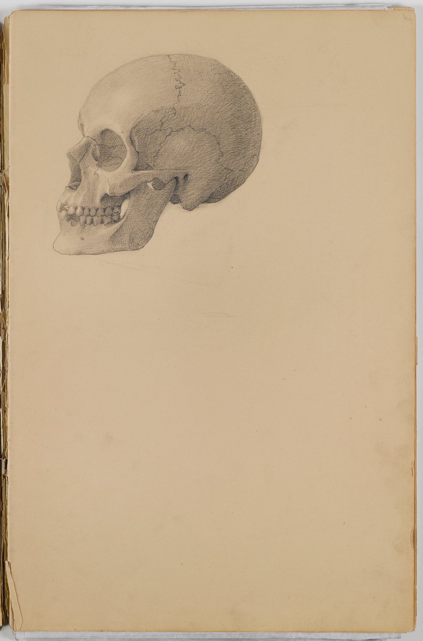 Anatomy Sketch Book, 1849 (luonnoskirja, joka sisältää grafiittipiirroksia) tekijältä Eastman Johnson