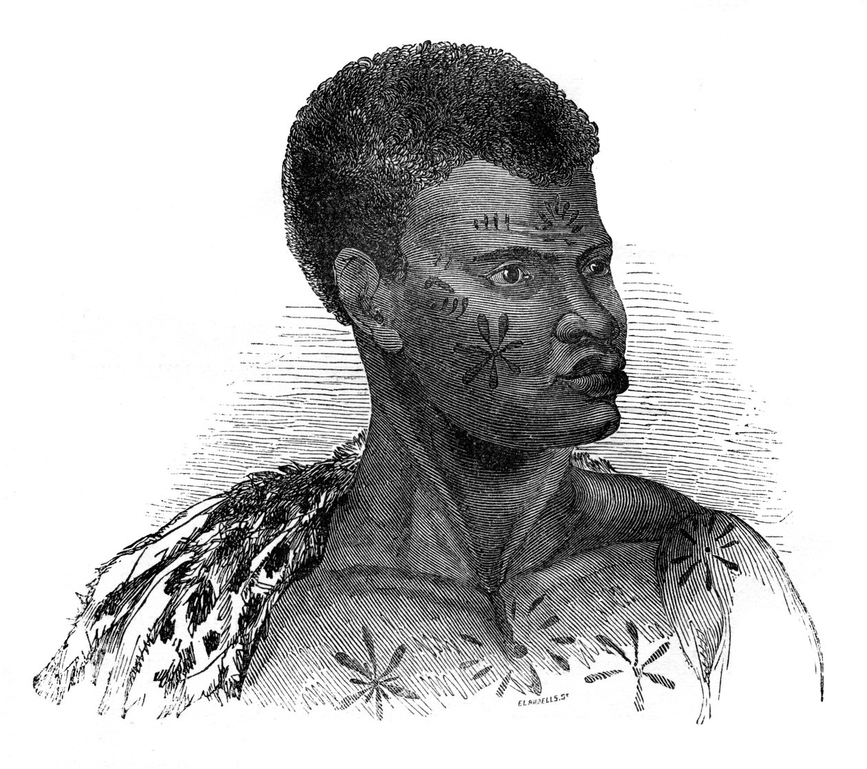 Kotoisin Mosambikista, 1848. tekijältä Ebenezer Landells