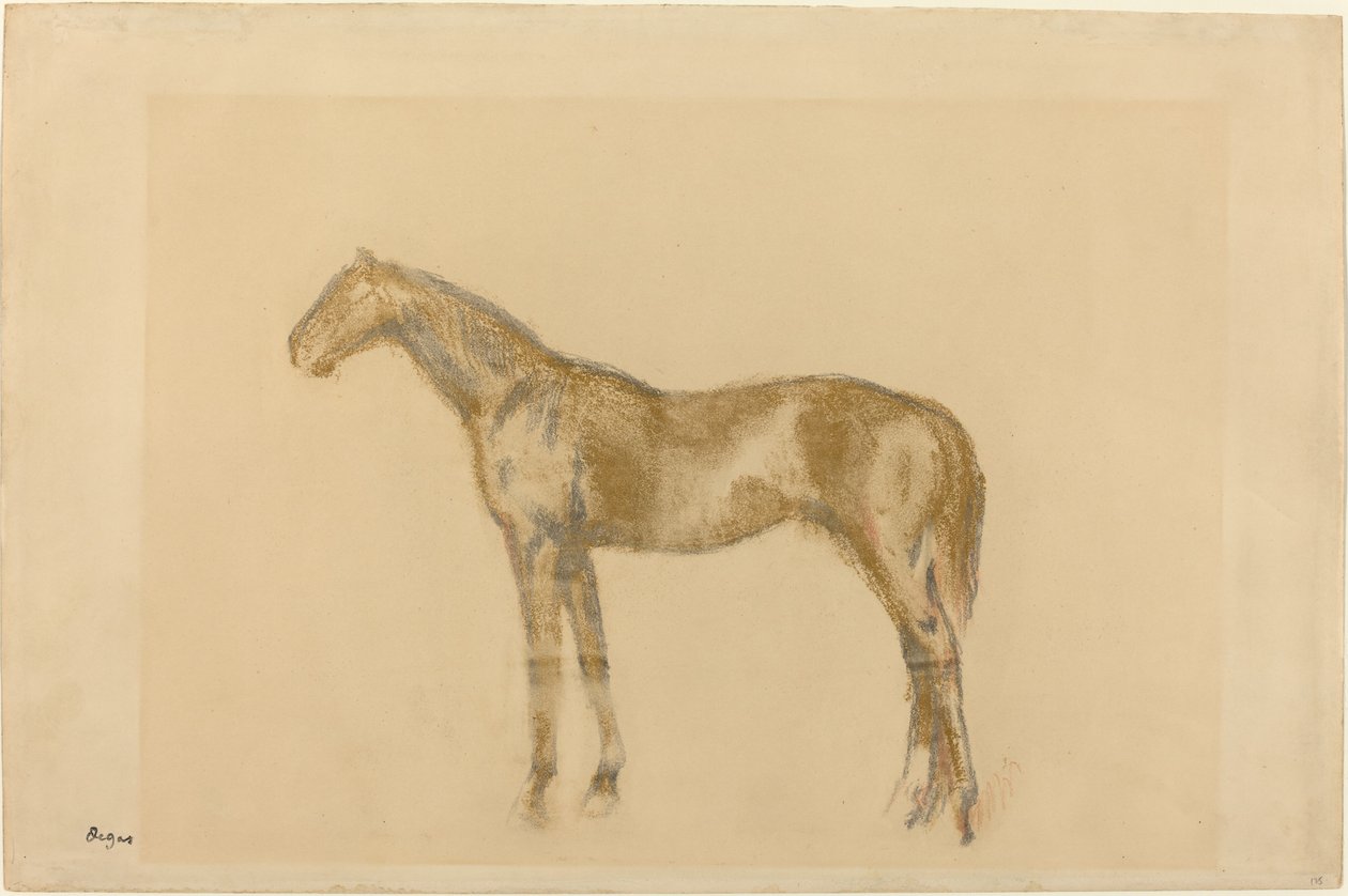 Hevonen tekijältä Edgar Degas
