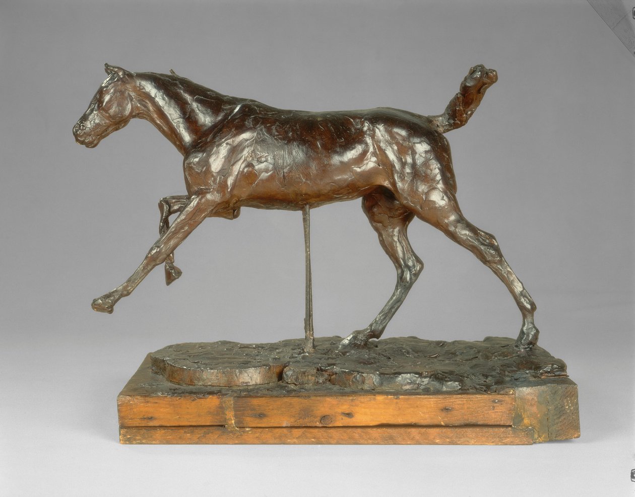Hevonen laukkaa oikealla jalalla, 1880-luvun loppu. tekijältä Edgar Degas