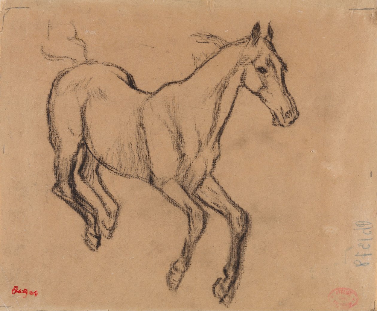 Hevosen laukka tekijältä Edgar Degas
