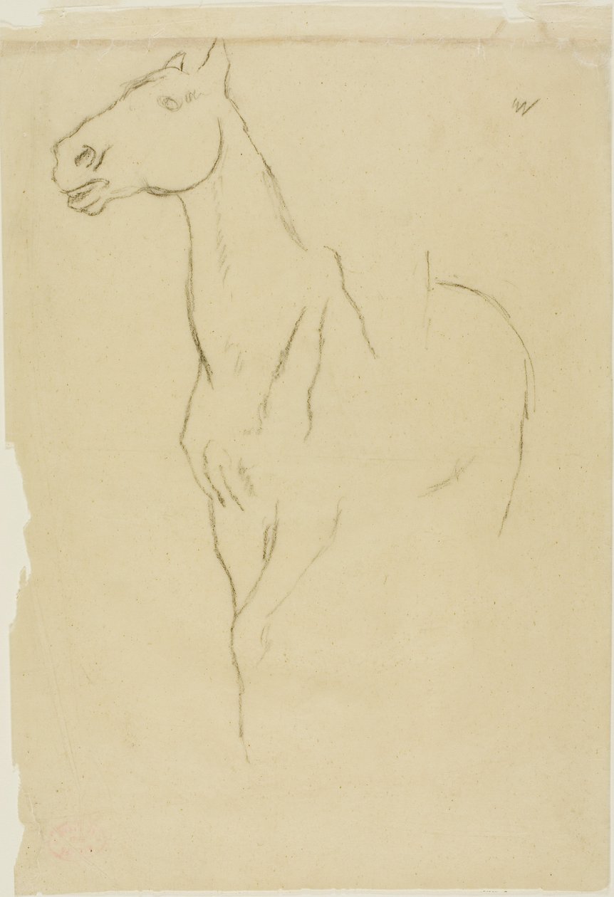 Hevonen käännetty kolme neljäsosaa tekijältä Edgar Degas