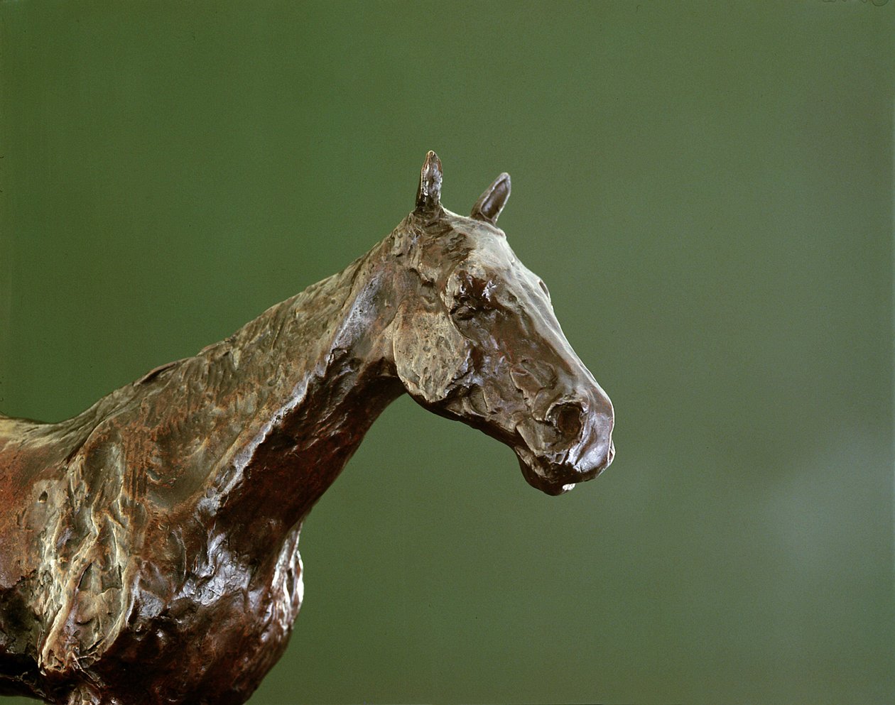 Hevosen pää (pronssi) (numero 335585) tekijältä Edgar Degas
