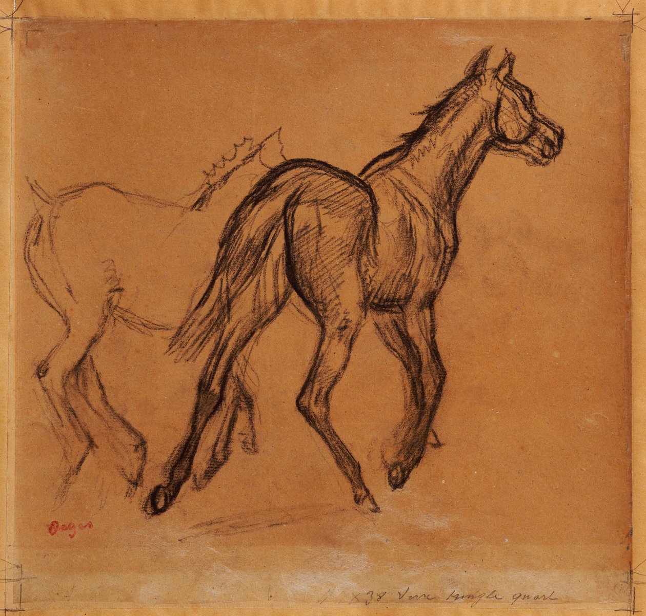 Hevoset, n. 1882 tekijältä Edgar Degas