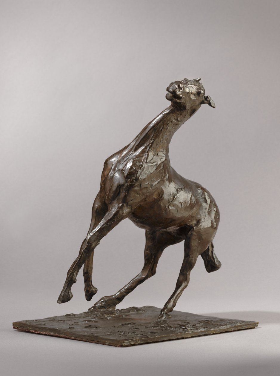 Kasvatushevonen, mallinnettu noin 1870-luvulla, valettu 1919-21 tekijältä Edgar Degas