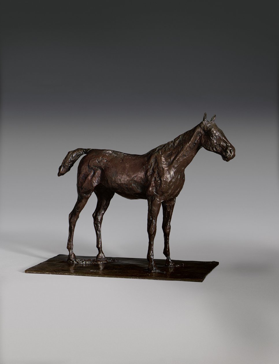Pysyvä hevonen tekijältä Edgar Degas