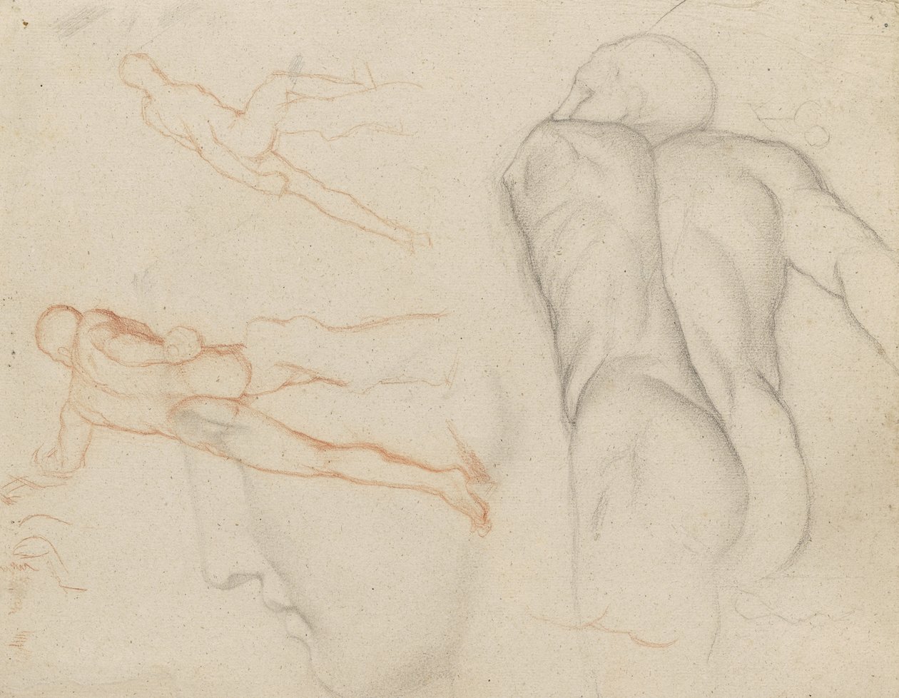 Tutkimuksia "Borghesen gladiaattorista", n. 1856-57 tekijältä Edgar Degas